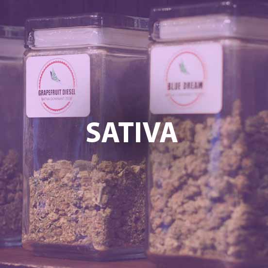 sativa-colorado-dispensary